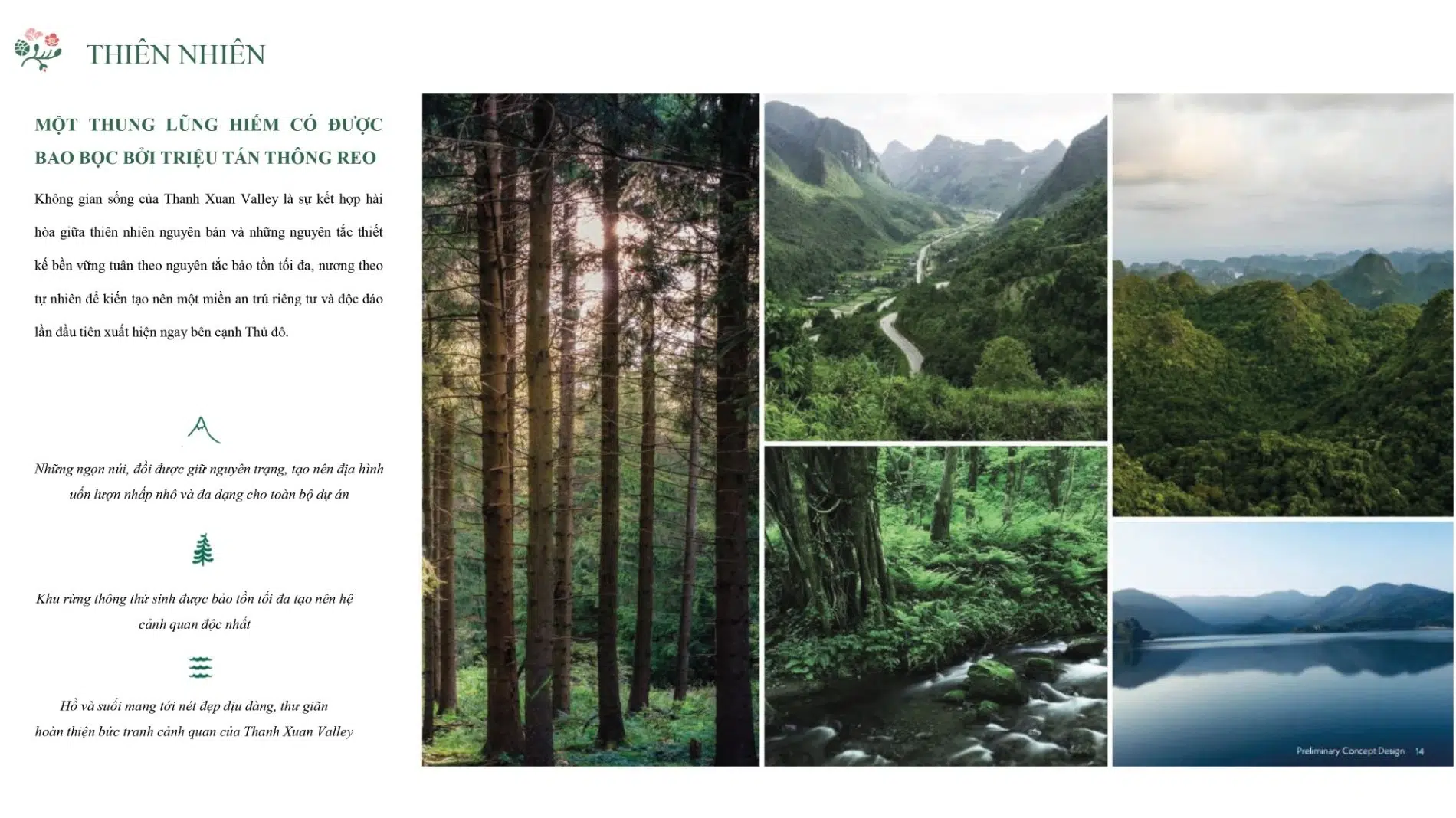 Hình ảnh rừng thông, hồ nước và cảnh quan thiên nhiên tại dự án Thanh Xuân Valley