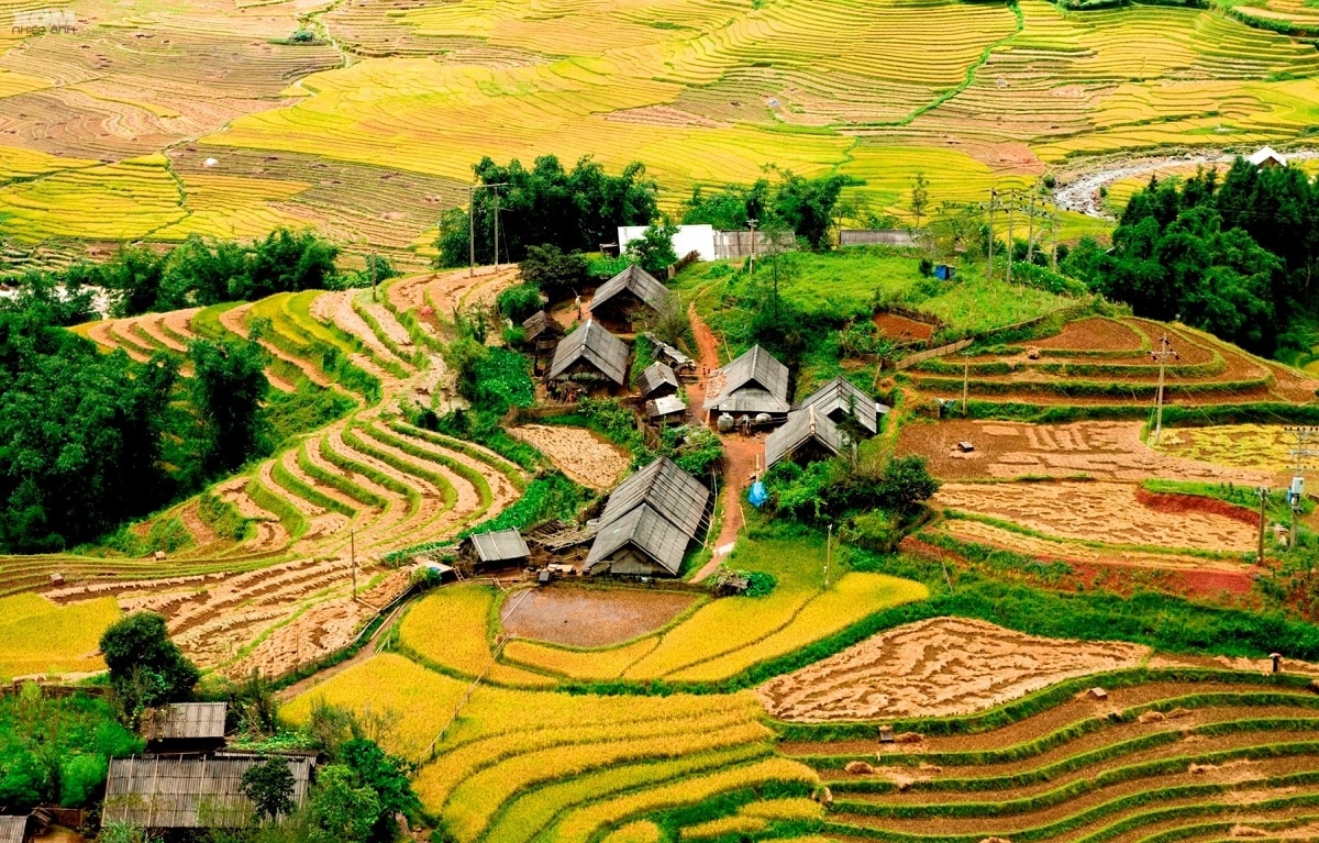 boi-canh-tho-mong-tai-ban-ta-phin-sapa