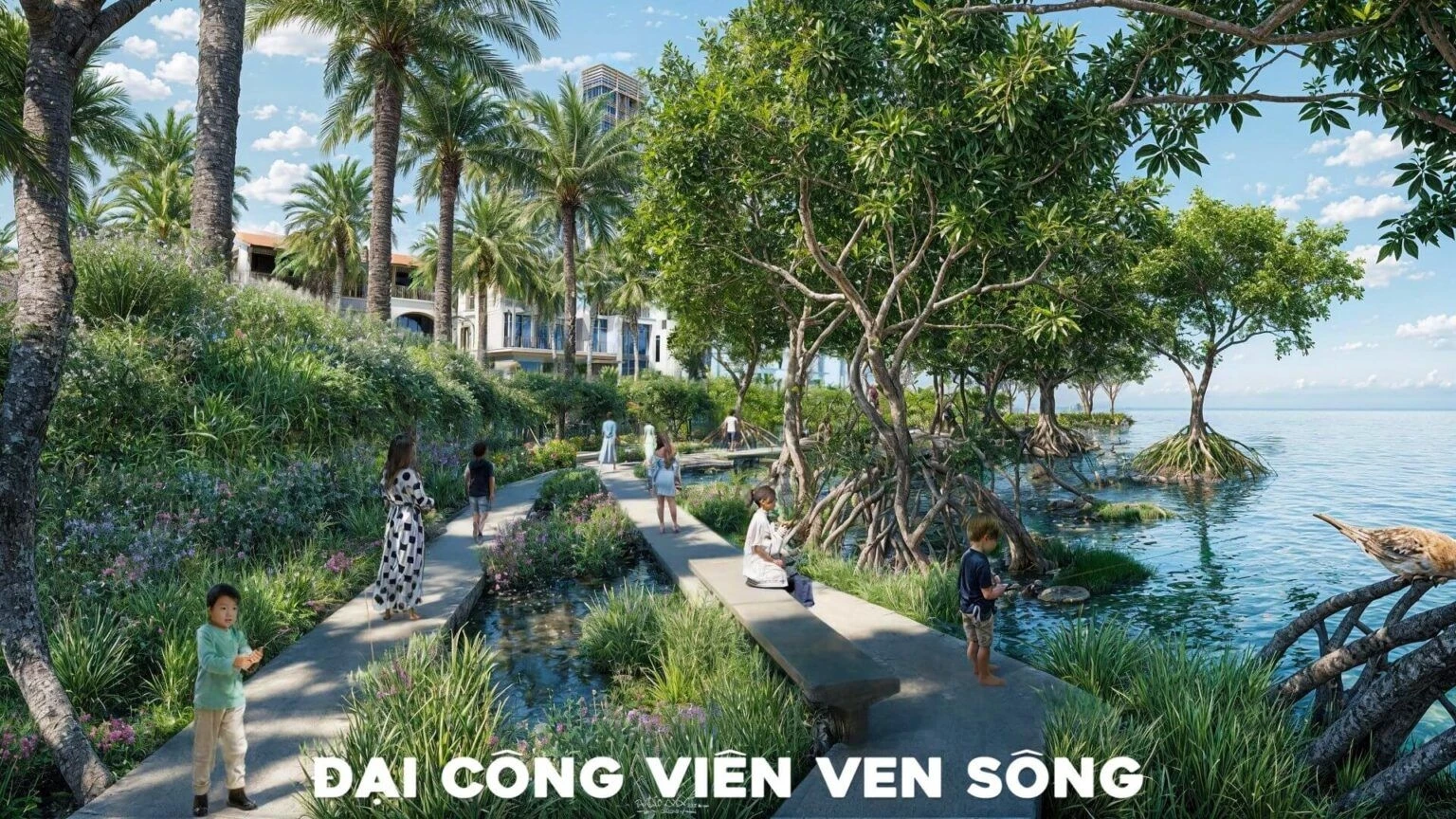 Lối đi bộ bằng bê tông chạy dọc theo bờ sông với những hàng cây ngập mặn